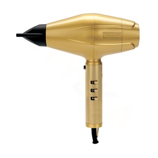 BaByliss PRO FXBDG1E GOLD 4Artists Profesionální fén