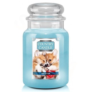 Country Candle Velká vonná svíčka ve skle Fresh Air Puppy 652g