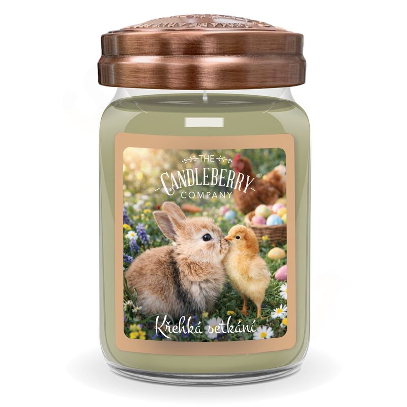 Candleberry Velká vonná svíčka ve skle Křehká setkání 624g