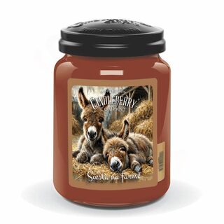 Candleberry Velká vonná svíčka ve skle Siesta na farmě 624g