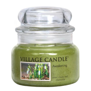 Village Candle Střední vonná svíčka ve skle Awakening 262g - Jarni probuzení