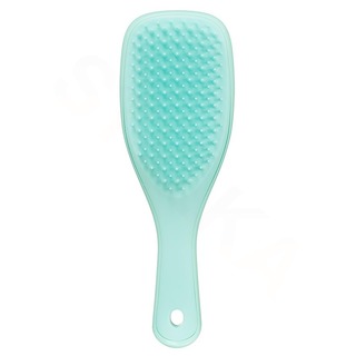 Tangle Teezer Zelený kartáč Mini Wet Detangling